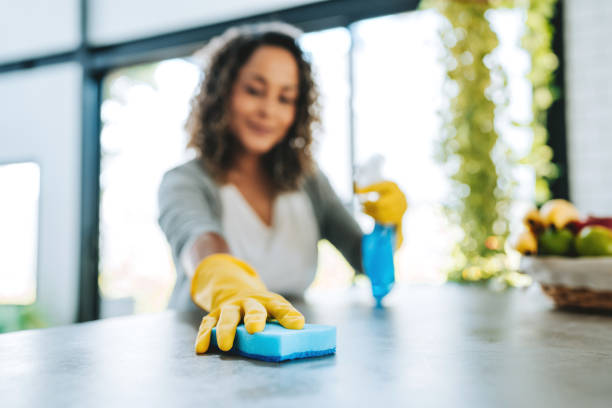 City of Good Maids professional maid service in Grand Island, NY