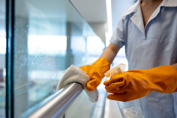 City of Good Maids providing professional maid service in Lancaster, NY