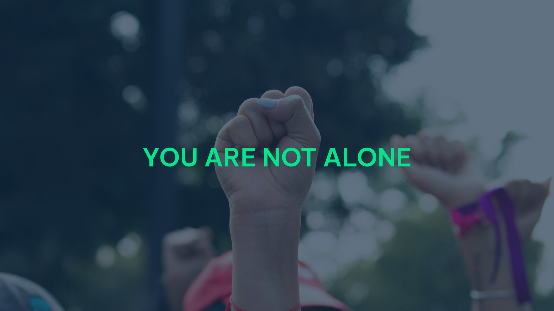 NGOs unter Beschuss: Ein Warnsignal für die Demokratie