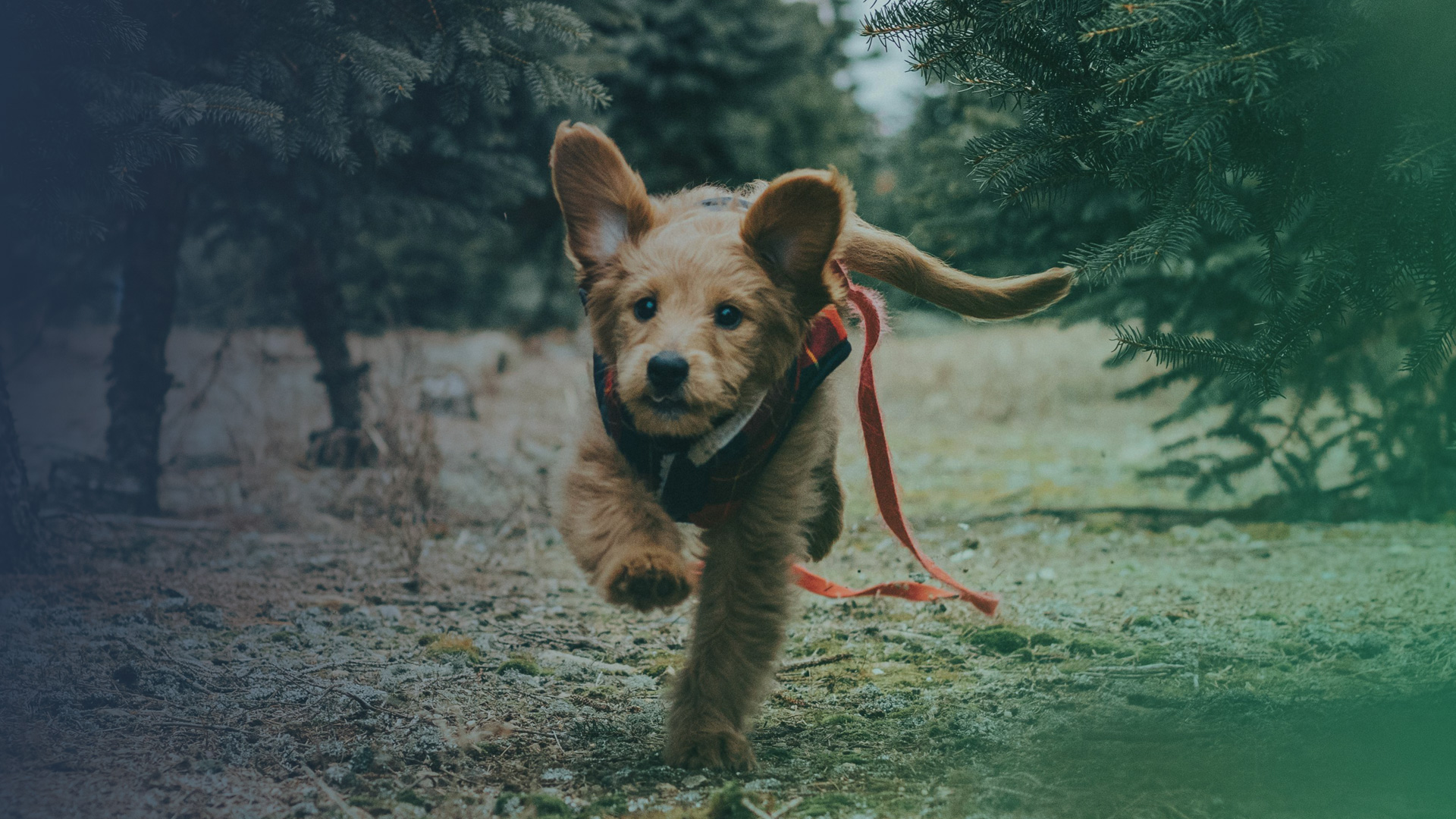 Ein Jahr voller Ideen, Bewegung und Dankbarkeit