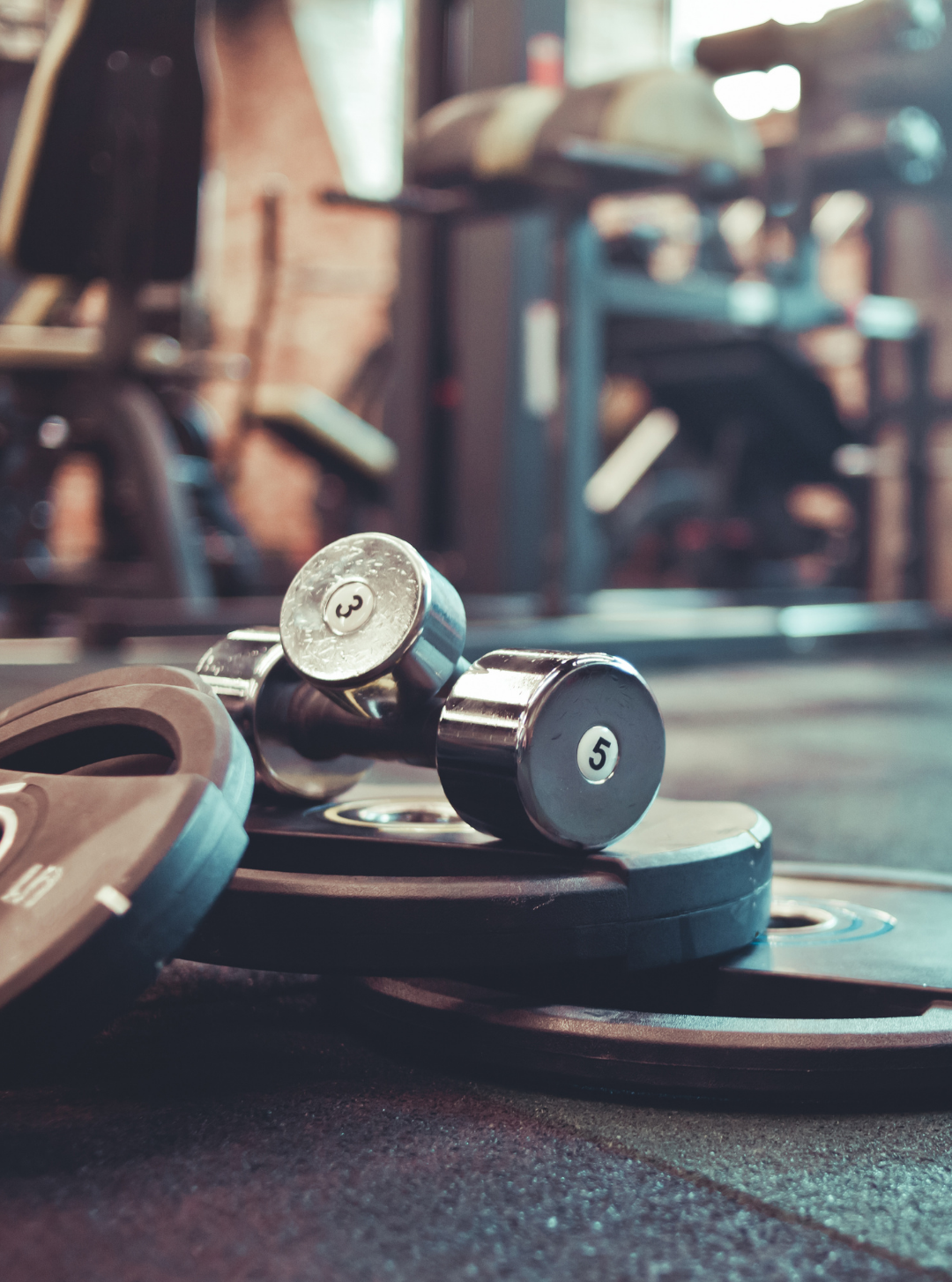 Professional gym equipment moving services for fitness facilities
