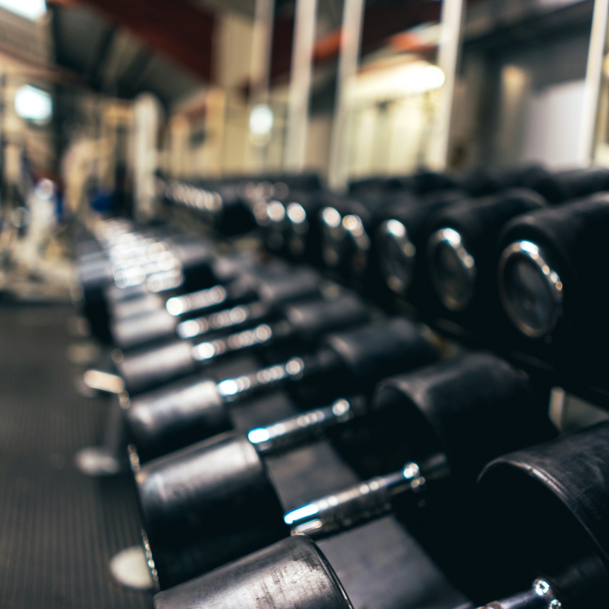Dumbbell rack for gym equipment moving services near me
