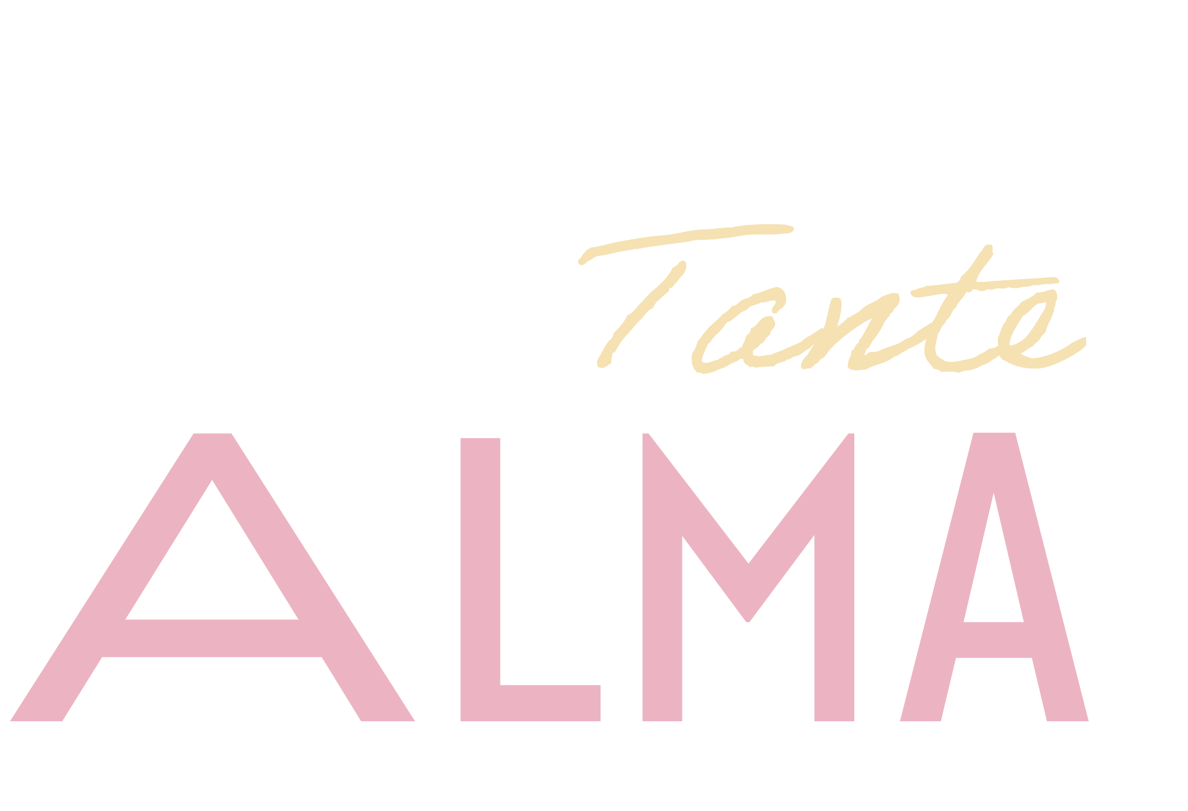 JMC Hotelmarketing Referenzen und Zusammenarbeit mit der Tante Alma Hotel Kette, eine Hotel Kette der Dr. Gerhard Gruppe 