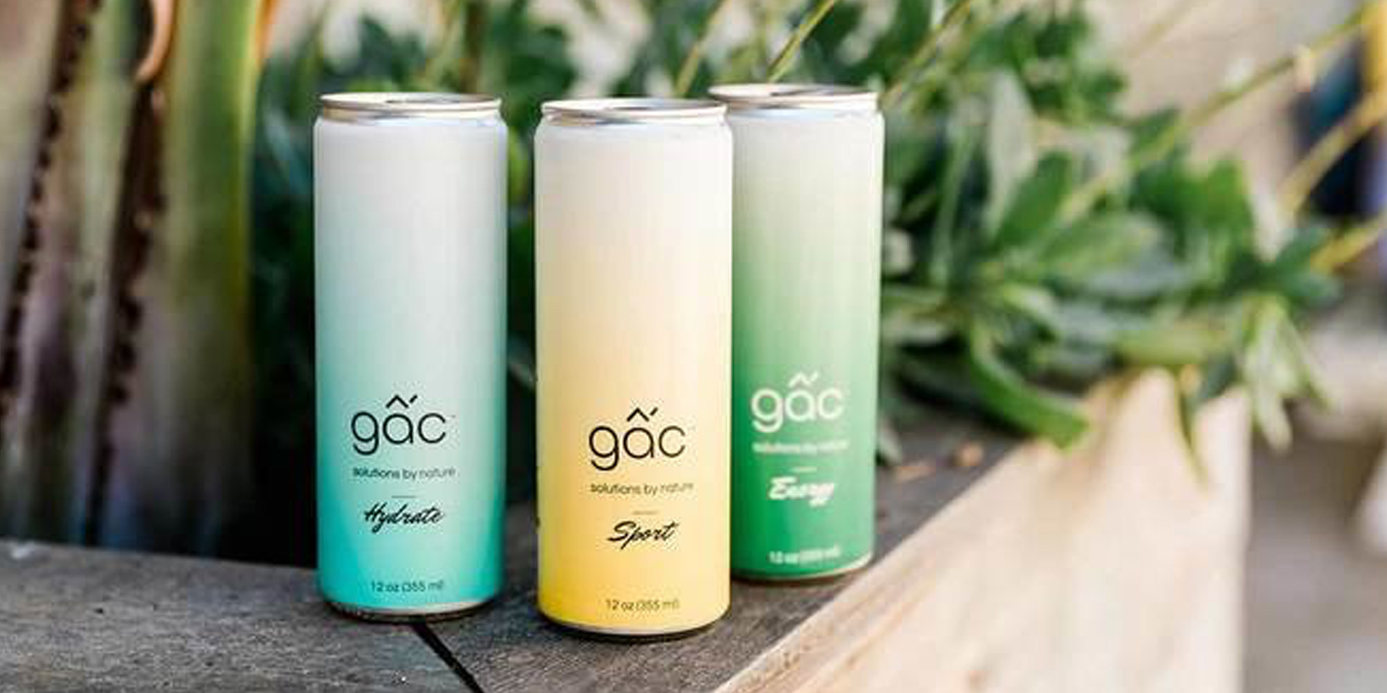 Case study on UX website design and development for Dafny's, a New York cleaning service