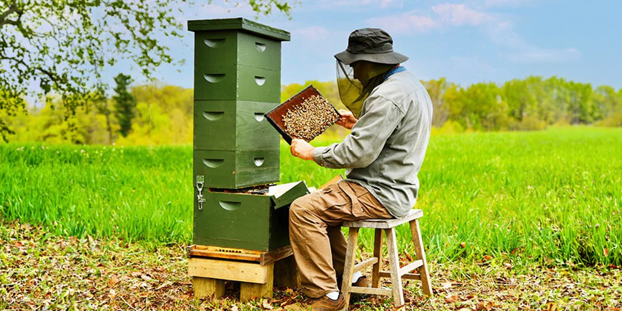 Case study on UX website design and development for Dafny's, a New York cleaning service