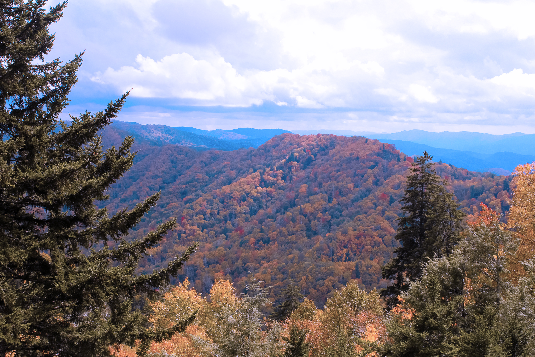 Gatlinburg, Tennessee, Thematic Map