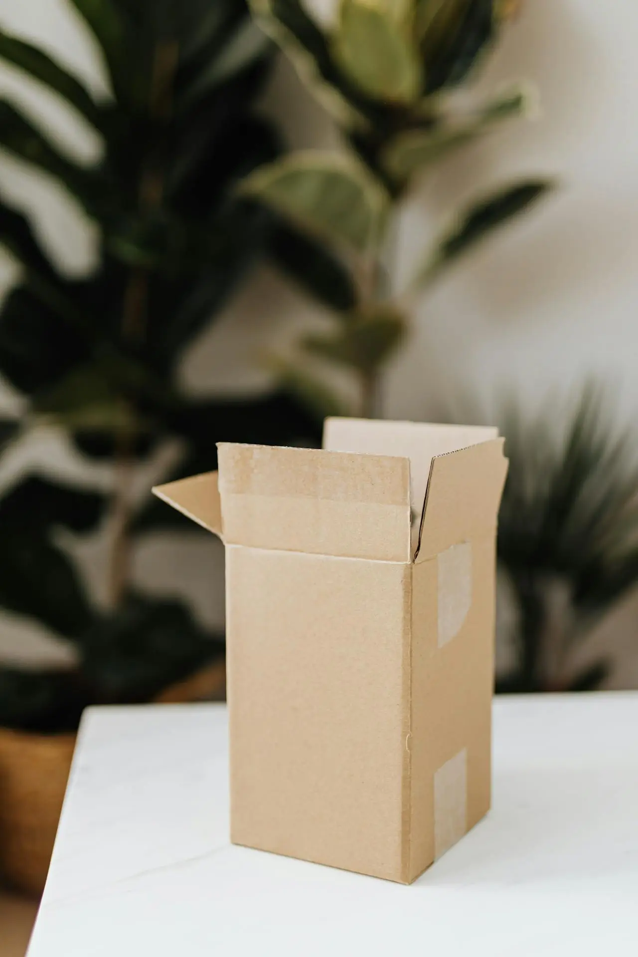 Work-from-home desk setup next to a cardboard shipping box — representing on-site and mail-in 3D printer repair service options.