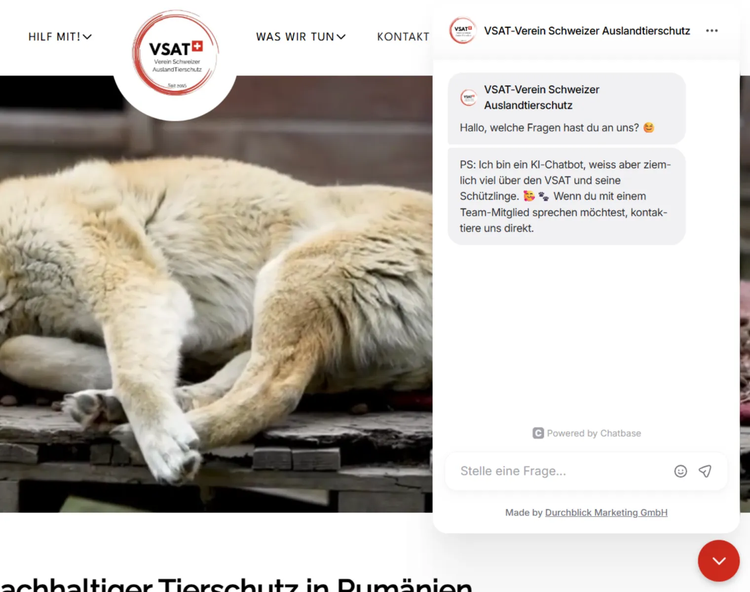 KI Chatbot auf Website vsat.ch