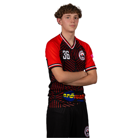 Vincenzo Flavio Impusino