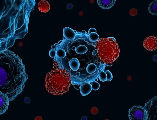 Roybal Lab - Hacking Immune Cells To Expand Their Therapeutic Potential