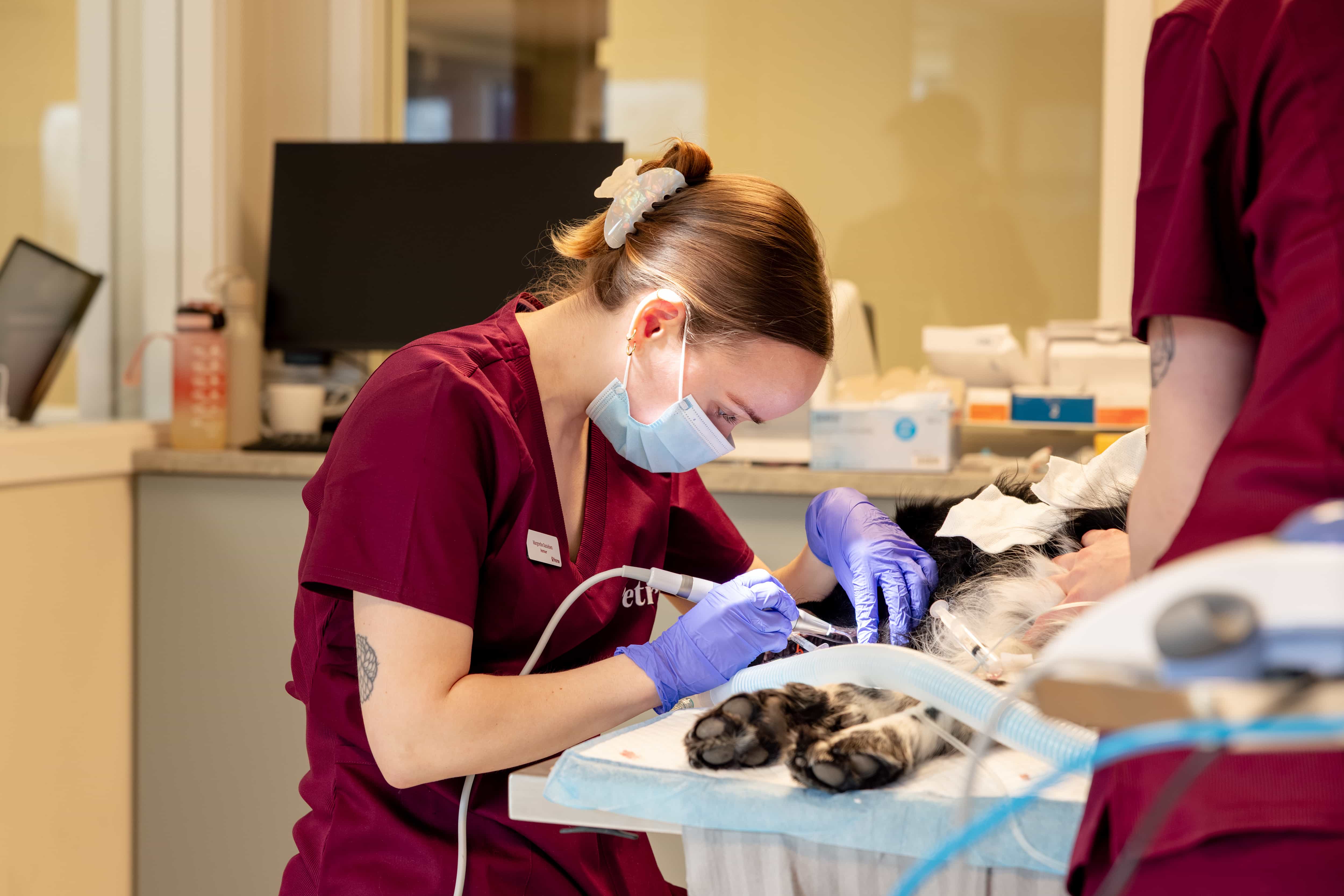 Klinikkrom hos Petrus