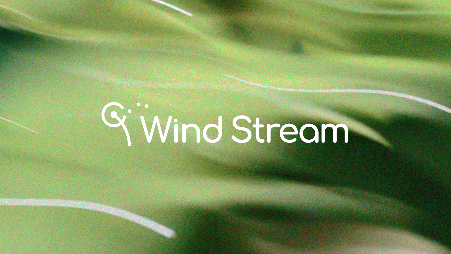 The wind stream logo, a dandelion with seeds blowing in the wind, set atop a green, grainy abstract image that evokes wind blowing throw a lush meadow.