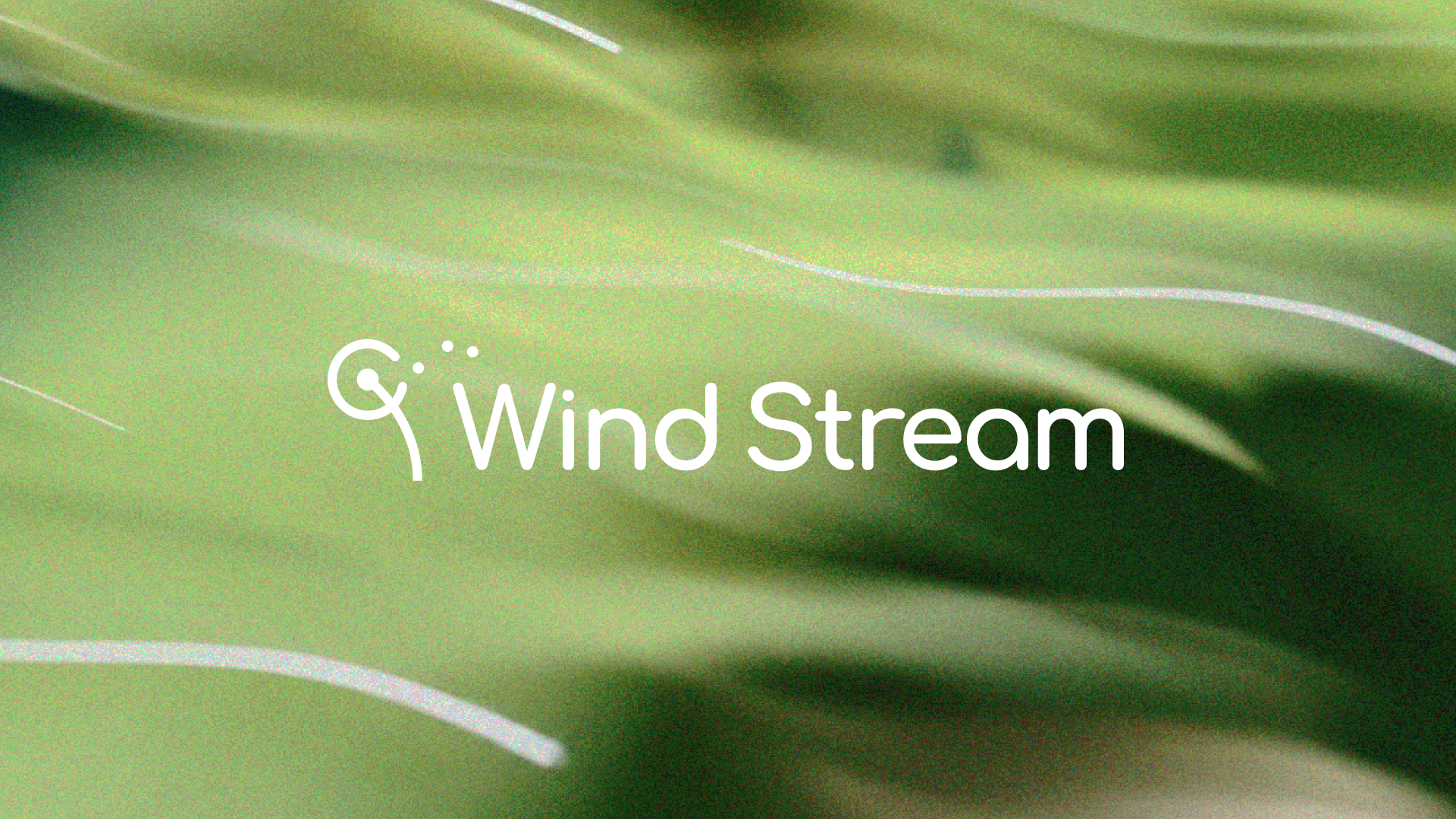 The wind stream logo, a dandelion with seeds blowing in the wind, set atop a green, grainy abstract image that evokes wind blowing throw a lush meadow.