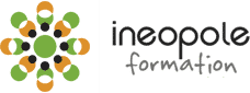 logo ineopole