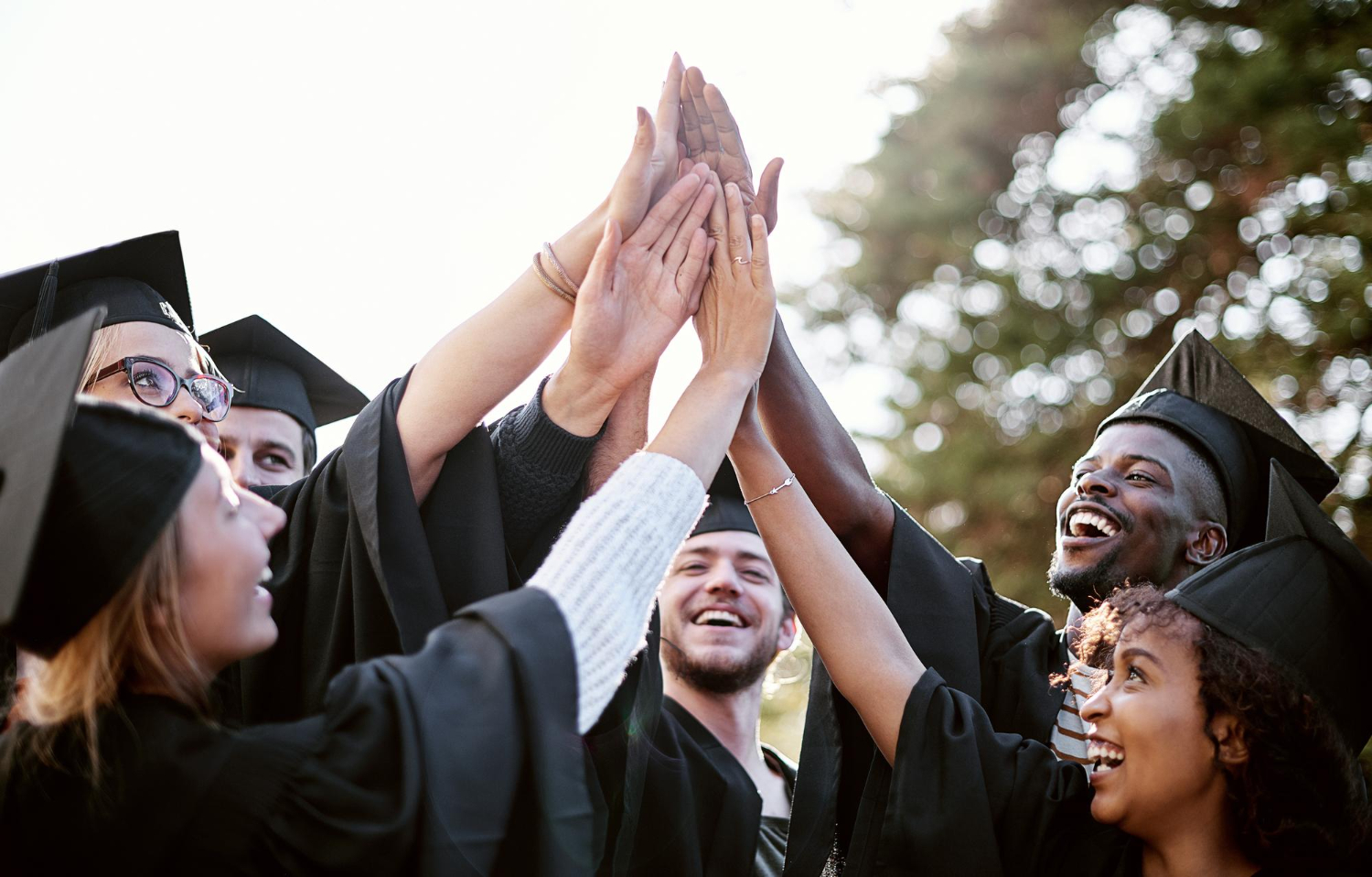 Animer son réseau alumni en 2026 : les stratégies qui créent un engagement durable