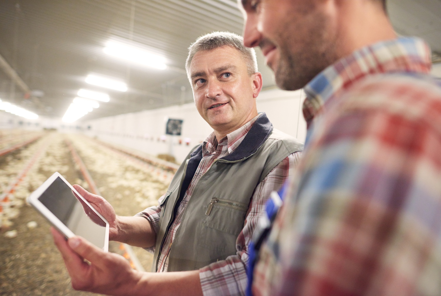 Ferme de Grignon : immersion au cœur de l’apprentissage agricole et de l’innovation