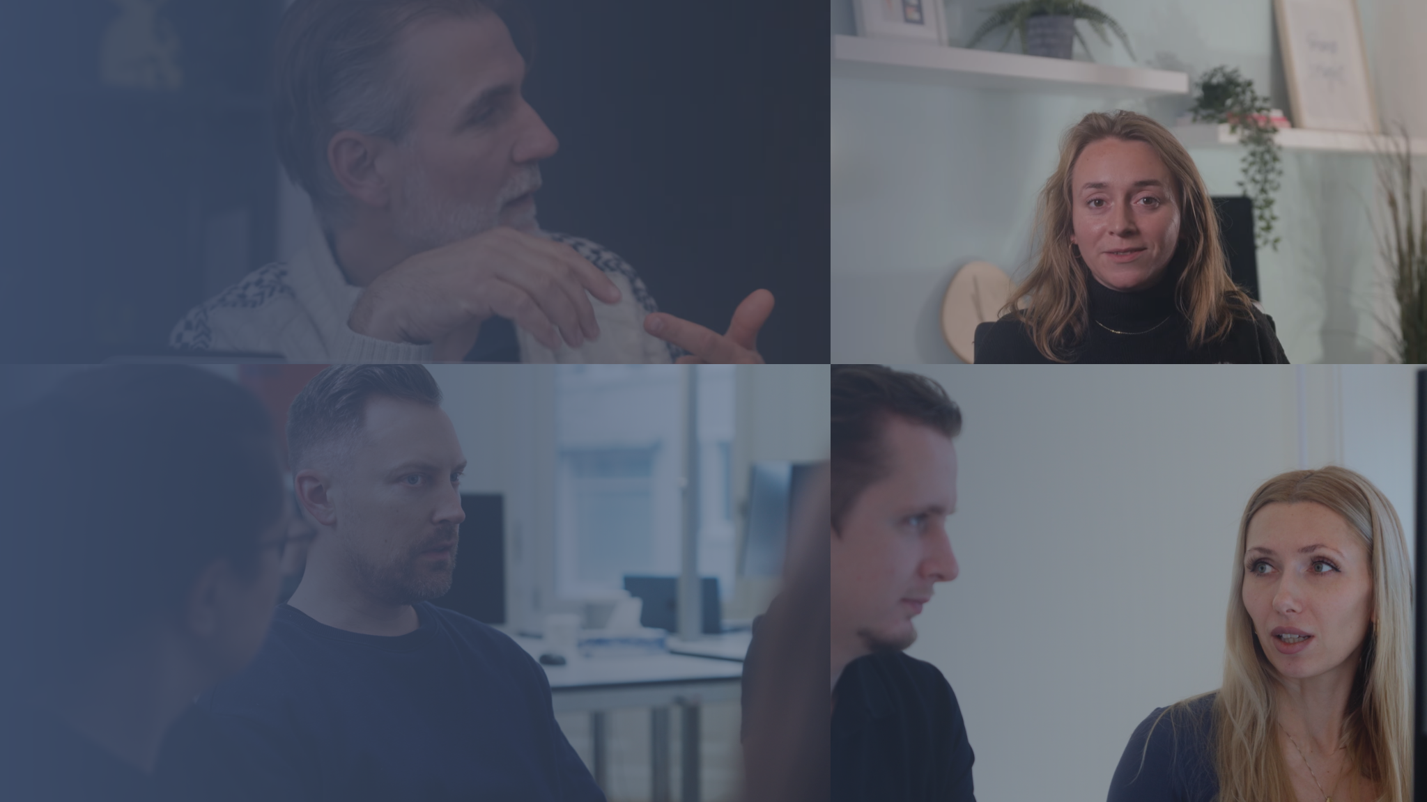 Swarmit, empowering teams! Wer wir sind und wofür wir stehen