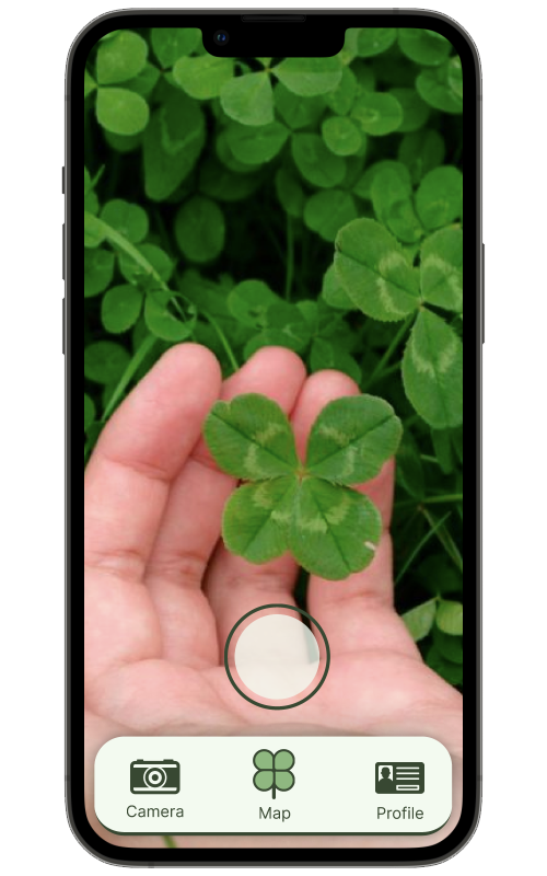 Mockup of the app with four clover image