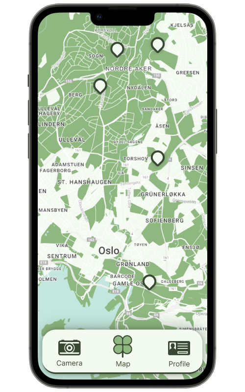 mockup with photo og the map in the app
