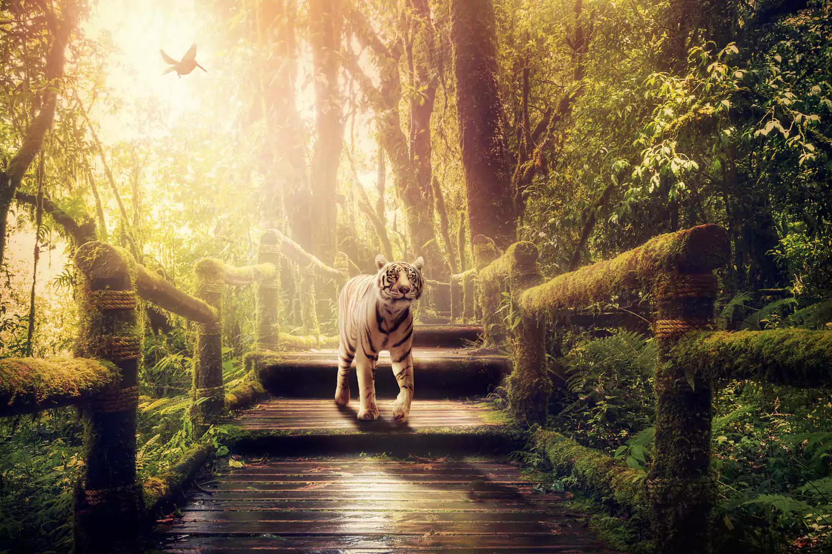 Tigar 4