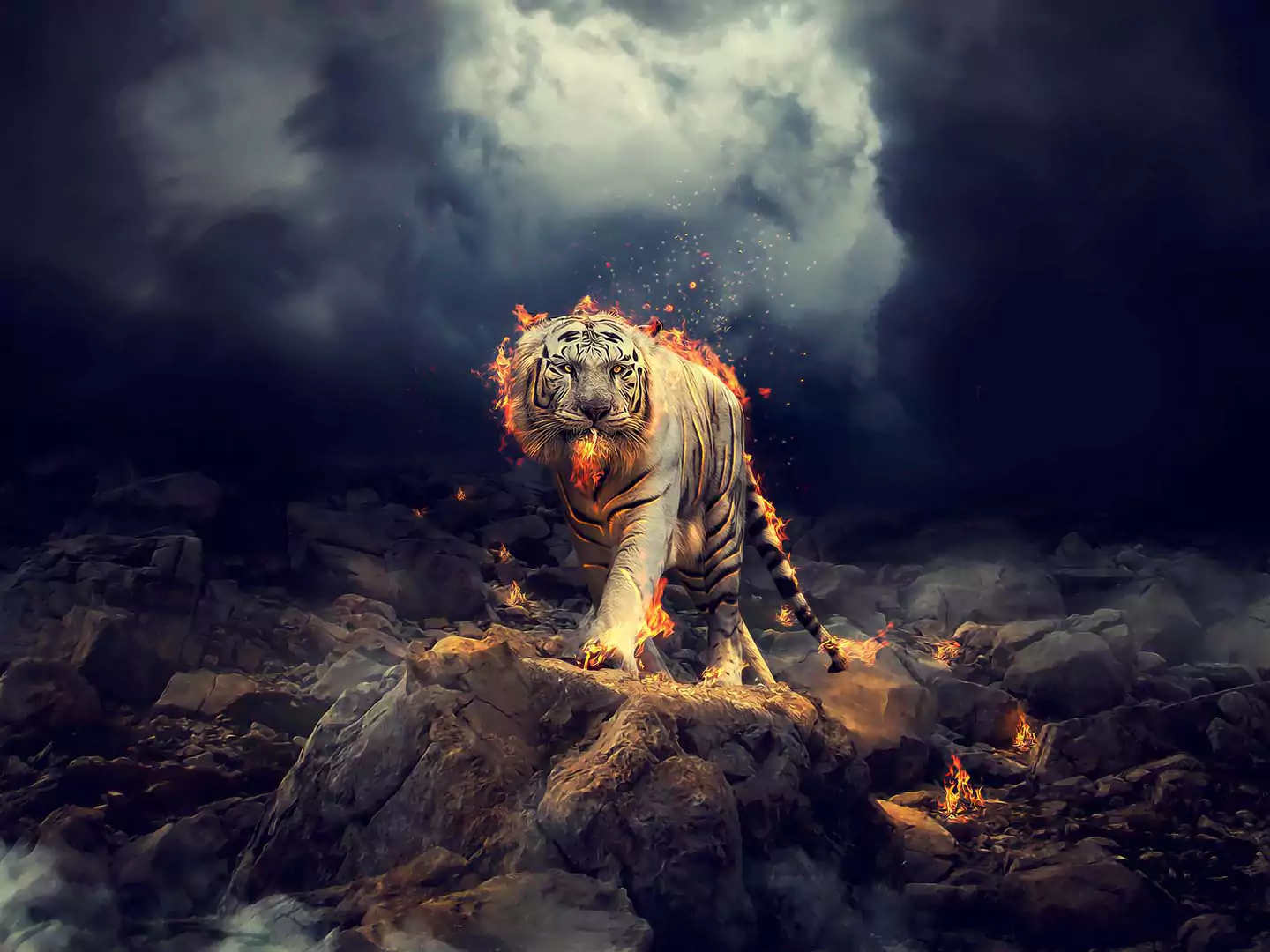 Tigar 2