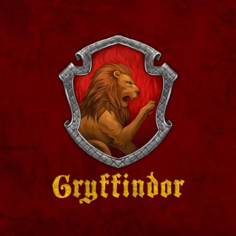 Harry Potter 8
