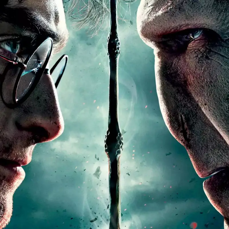 Harry Potter 10
