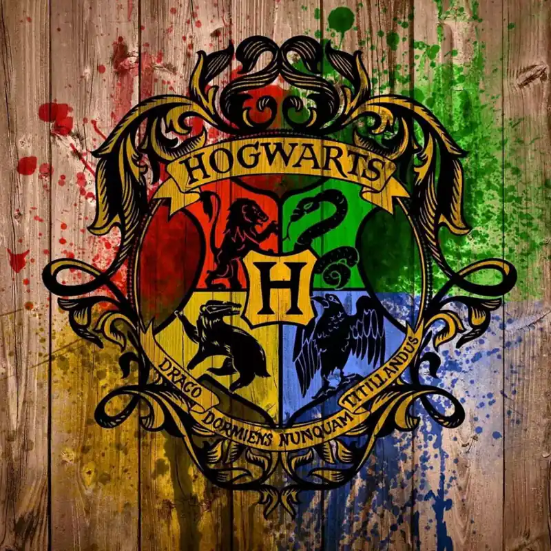 Harry Potter 5