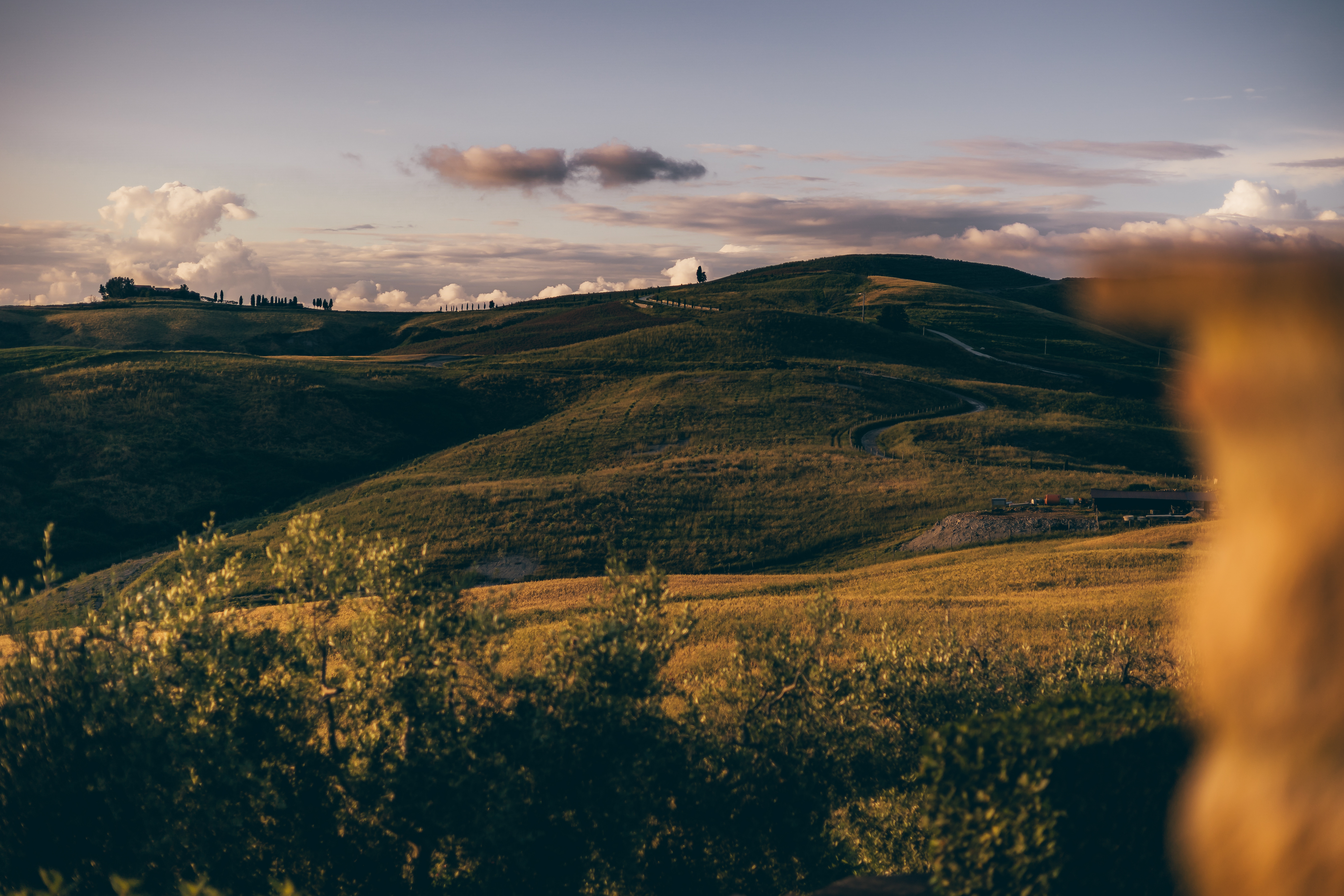 Weite toskanische Landschaft mit warmem Abendlicht