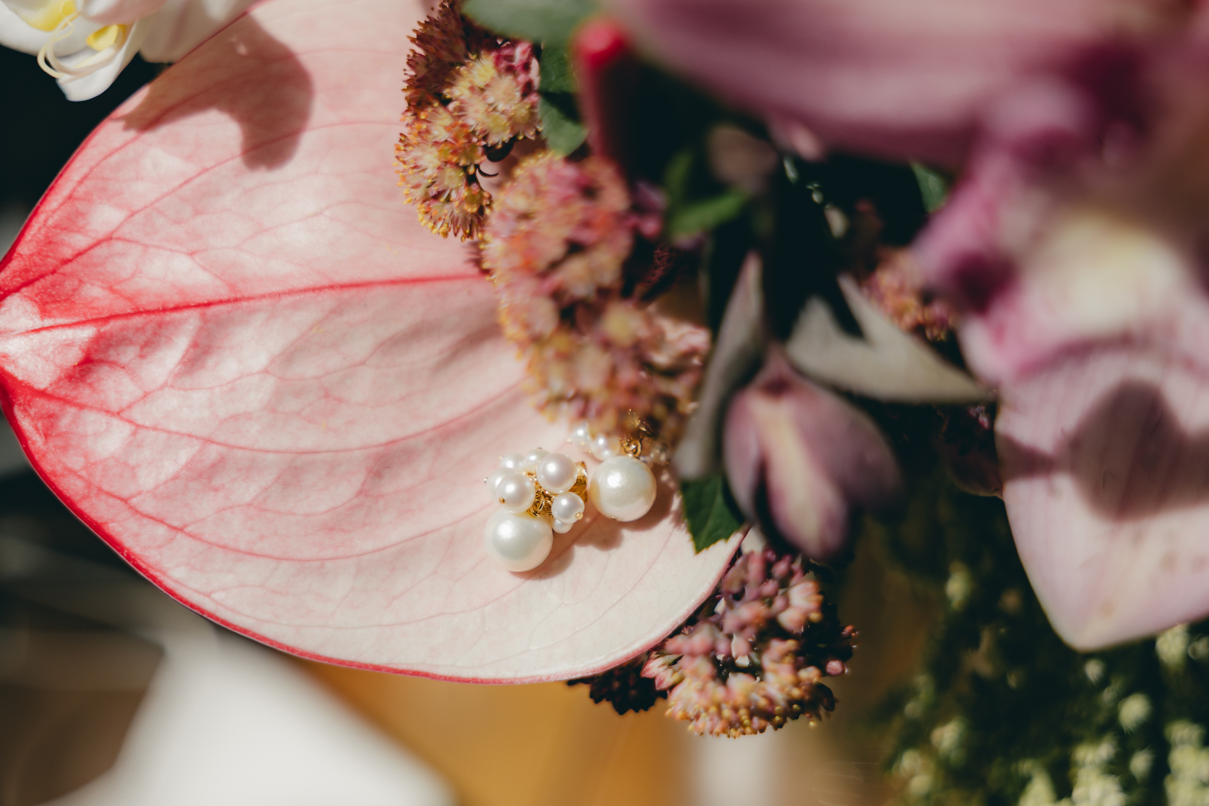 Nahaufnahme rosa Blüten und ihrer feinen Strukturen.