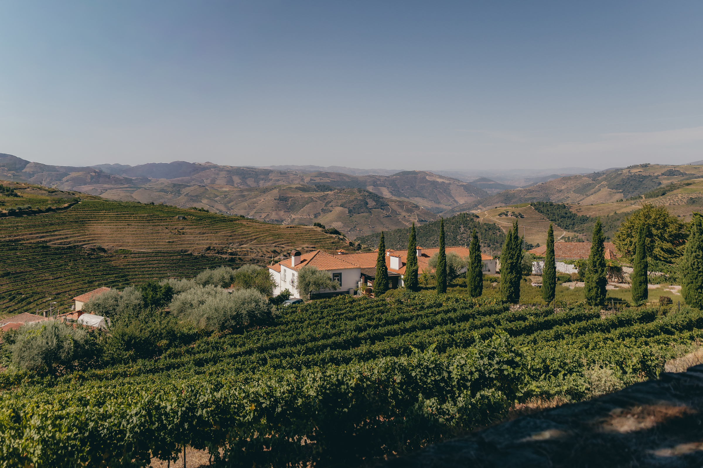 Weinberge, Zypressen und das weiße Haus von Casal de Tralhariz im Douro-Tal.