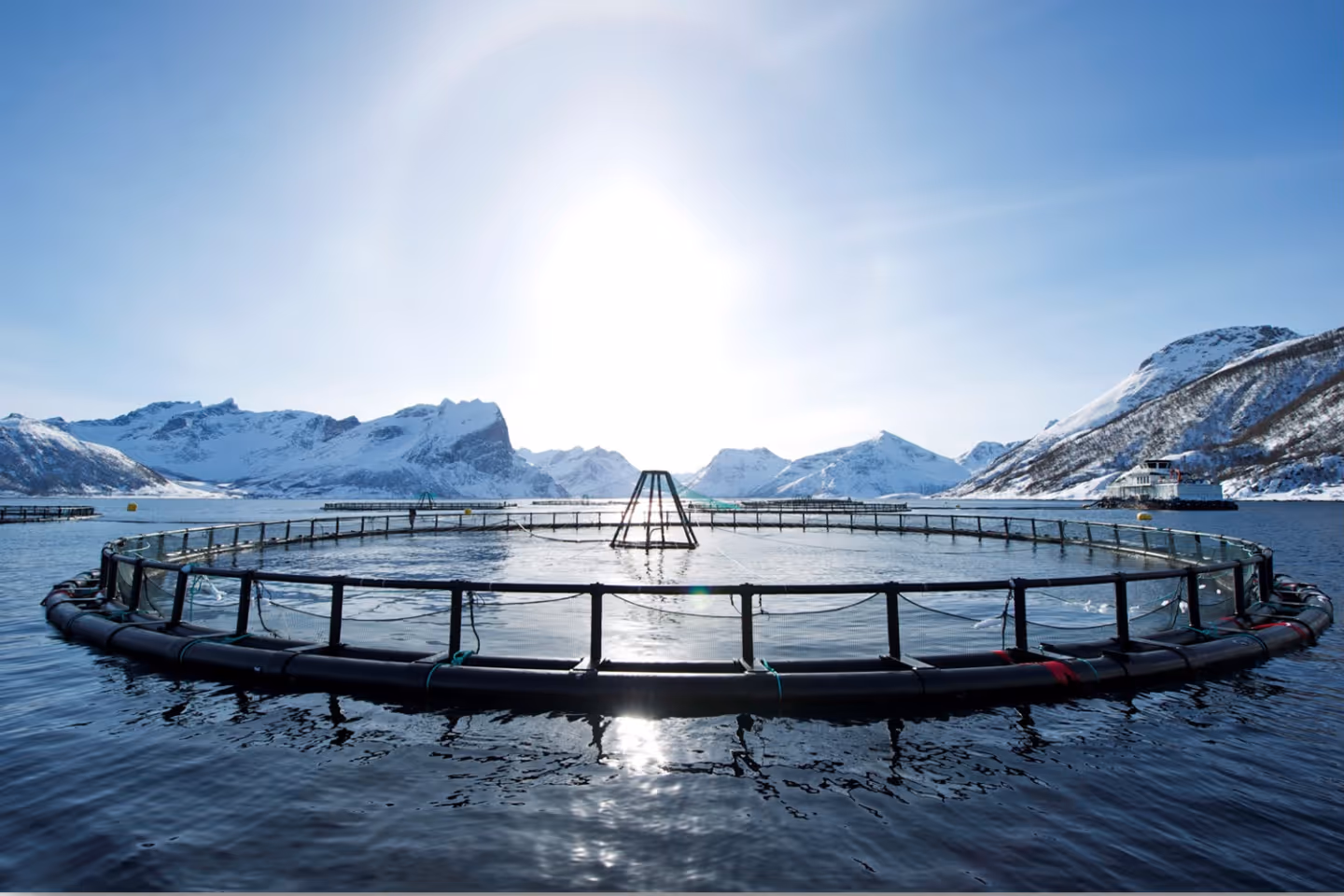 Circular fish farming pen floating in cold water with snow-covered mountains and bright sun in the background.