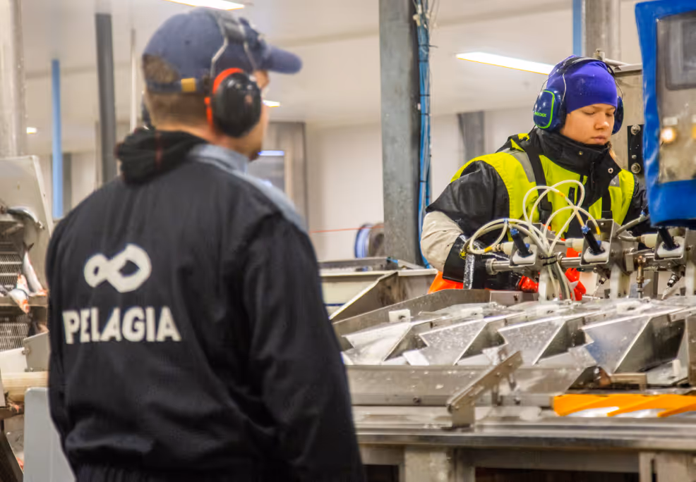 Two factory workers wearing protective headphones operate machinery on a production line; one wears a jacket labeled 'Pelagia'.