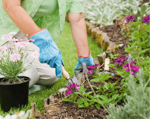 Claim your National Carers Card discount from Original Organics