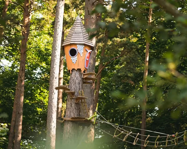 Claim your carer discount from Bewilderwood Norfolk