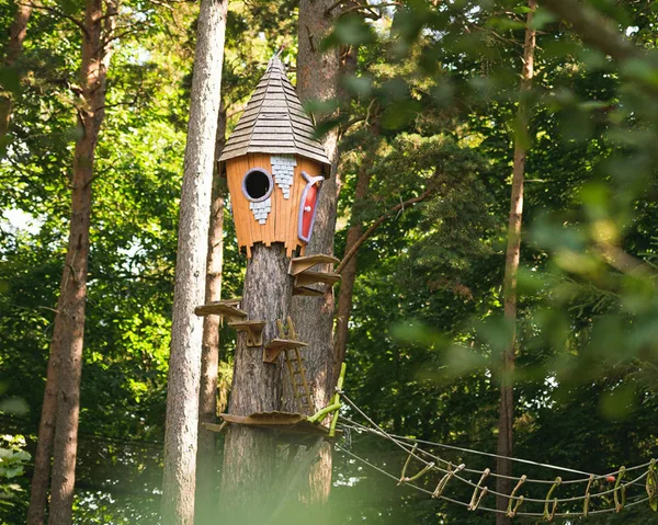 Claim your carer discount from Bewilderwood Norfolk