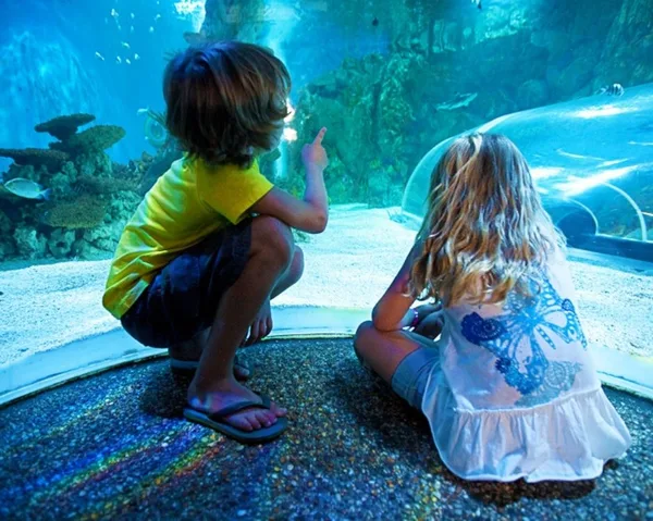 Claim your carer discount from Sealife Adventure