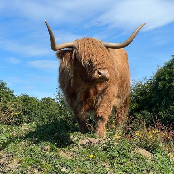 Claim your National Carers Card offer from Godstone Farm Park