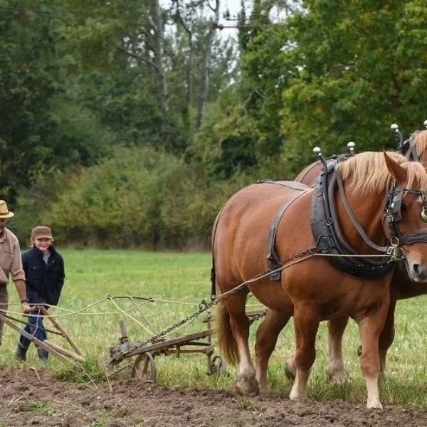 Claim your disability discount from Gressenhall Farm & Workhouse