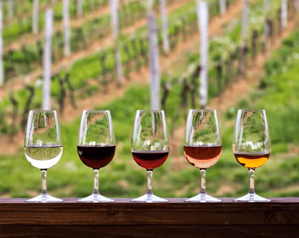 Claim your carer discount from Laithwaite's Wine