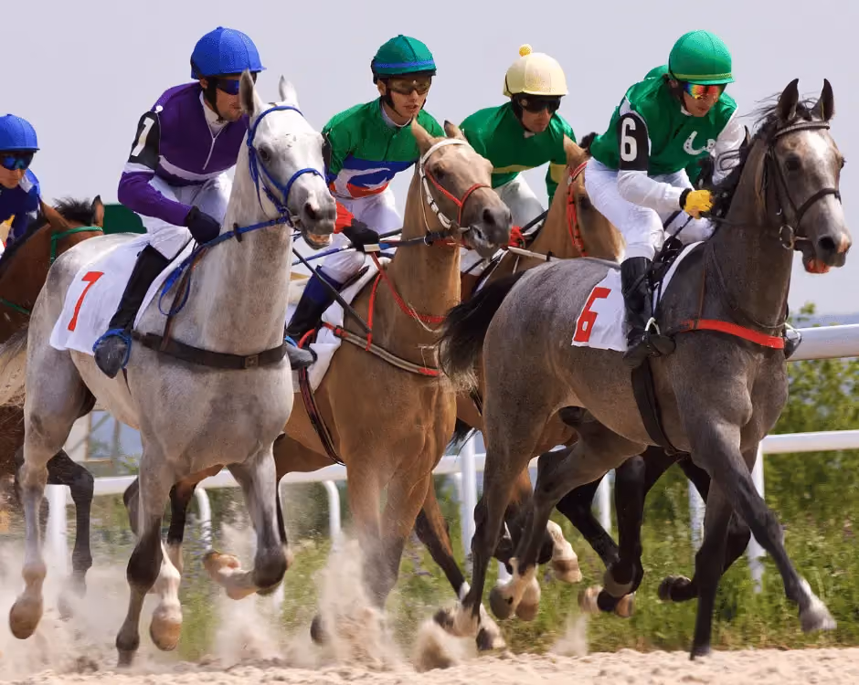 Claim your carer discount from Racingbreaks.com