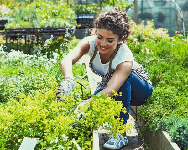 Claim your National Carers Card discount from Gardening Direct