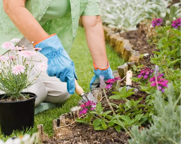Claim your National Carers Card discount from Original Organics