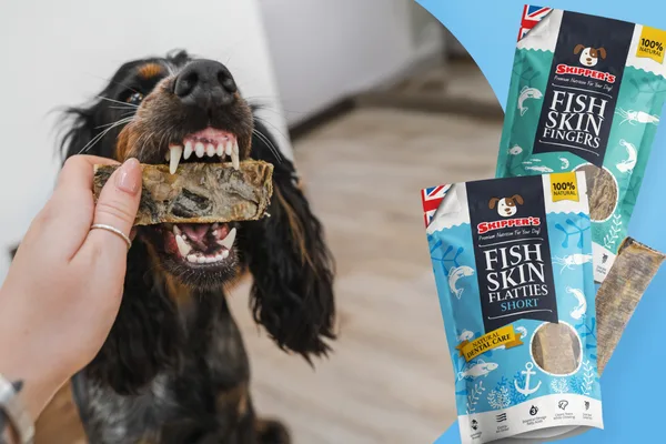 Claim your National Carers Card discount from Skippers