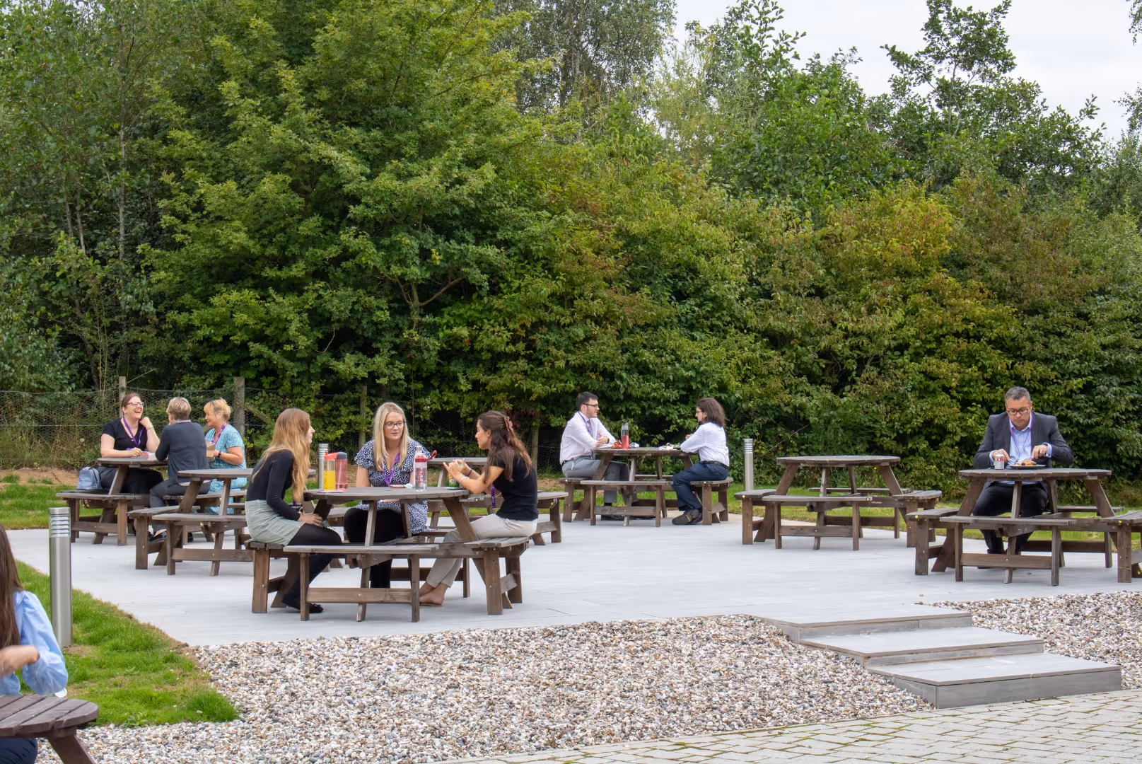 People sitting and chatting at picnic tables in an outdoor area with trees in the background.