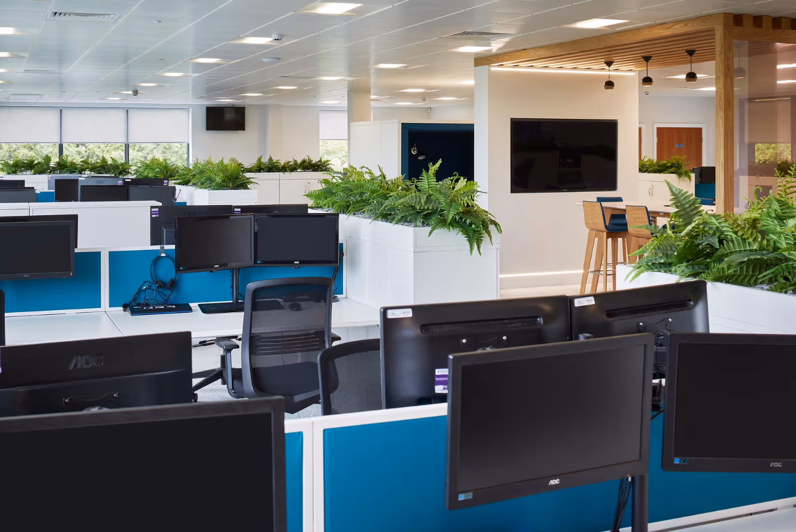 Modern open-plan office with multiple desks, computer monitors, ergonomic chairs, and white planters filled with green ferns.