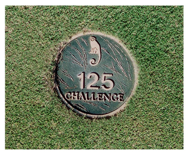 125 with monkey cast bronze yardage marker