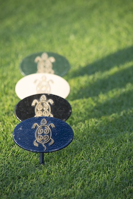 Cast bronze tee markers with a turtle logo design