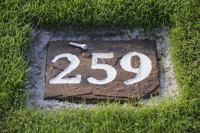 natural stone yardage marker