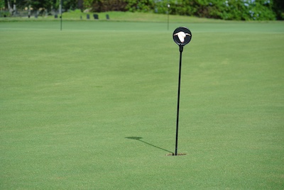 putting stick with printed vinyl logo
